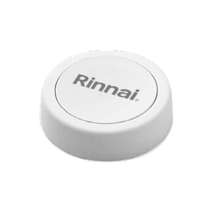 Rinnai RPB200 On-Demand Recirculation via Push Button — Big Frog